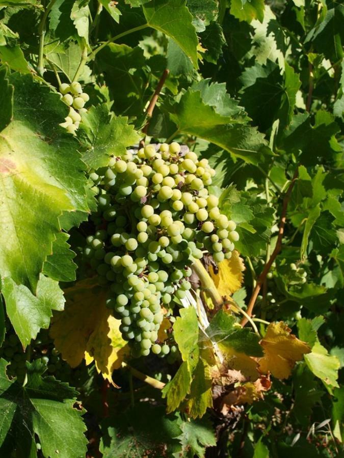 Agriturismo Gelso Castellana Sicula Zewnętrze zdjęcie